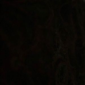 Meet your Posher, Eva